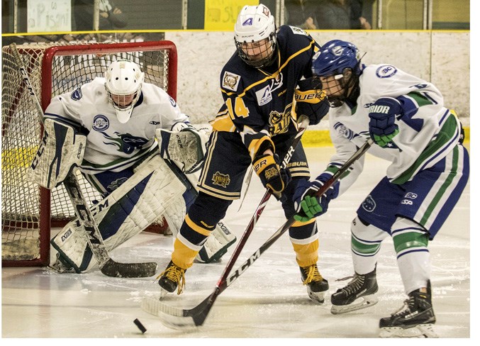 STICKING IT – Jaden Bogden of the St. Albert Slash challenges Madison Mould for the puck in front of netminder Jordyn Verbeek of the Greater Vancouver Comets in the Pacific Region national qualifier at Akinsdale Arena. The Slash swept the Comets 5-2 and 3-0 for a berth at the 11th annual Esso Cup starting Sunday at Sudbury, Ont. The first game in the six-team round robin for the two-time defending midget AAA female national champions is against the Quebec A’s. 
DAN RIEDLHUBER/St. Albert Gazette