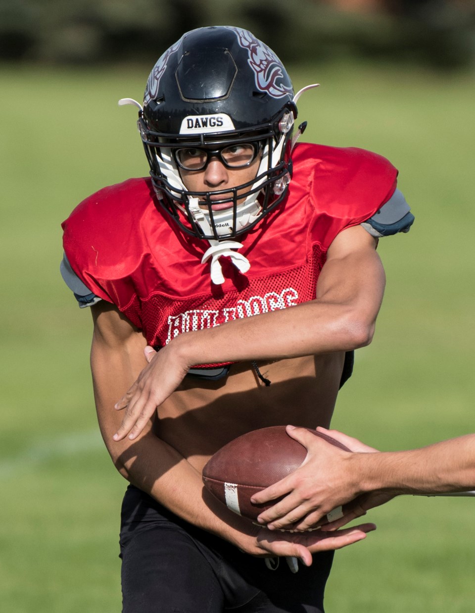 WEB SPORTS feat 2809 Bulldogs-2