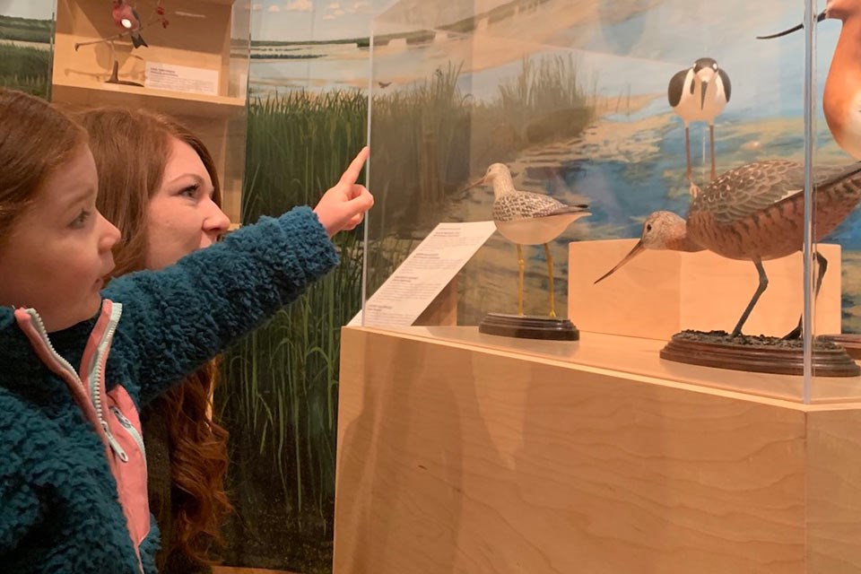 A mother and child experiencing a bird display at the Musée Héritage Museum as part of the St. Albert History Gallery.