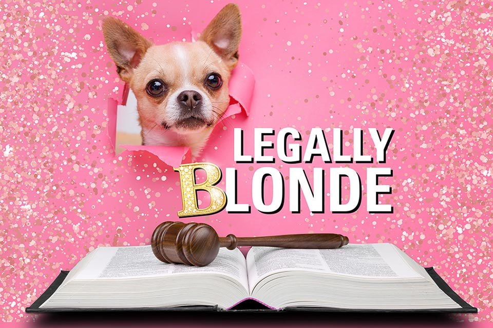 blonde-16x9-1