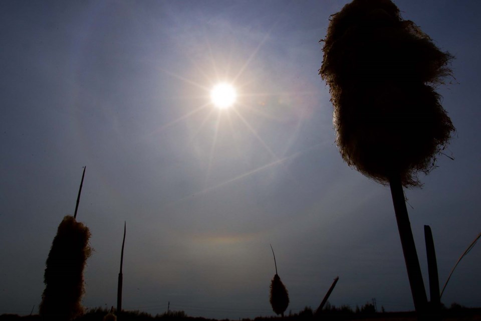 Sun Halo CC 5900 CC