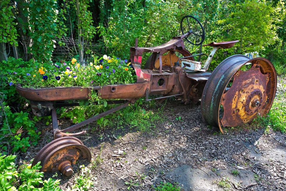 instagram tractor flowers CC 3867 CC