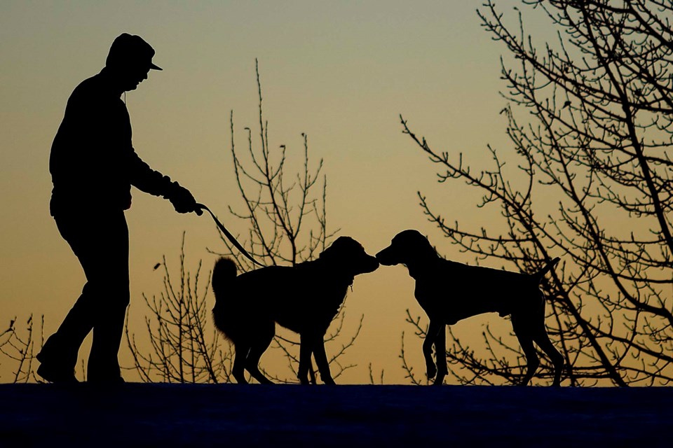 Dog Walk Sun Set-0476-ab CC