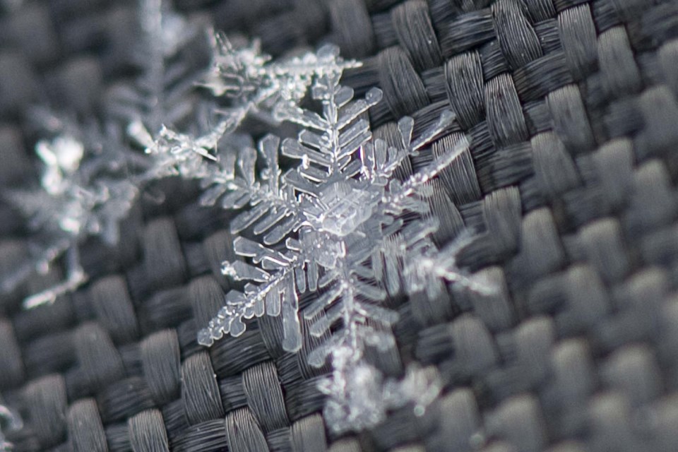 Cold Stuff Feature 06 snowflake-8638-km CC