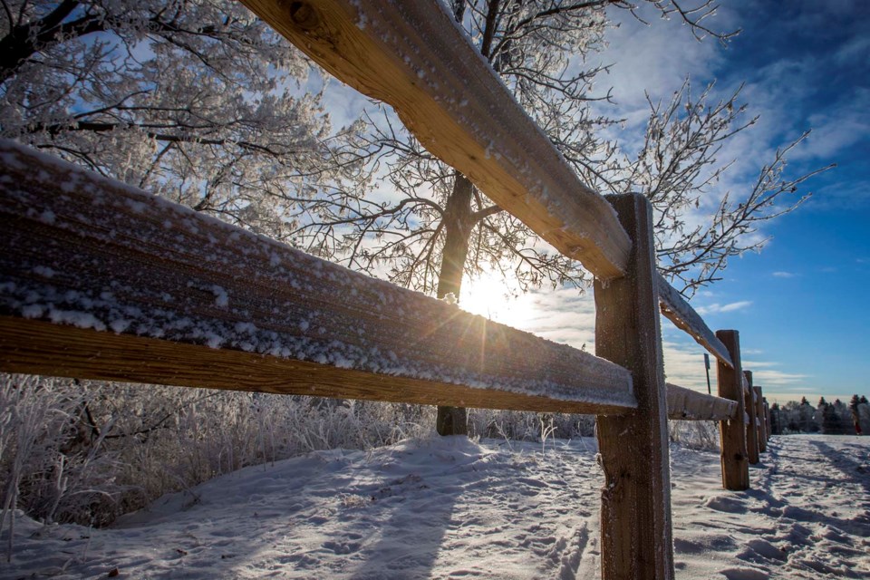 hoarfrost CC 9077 CC