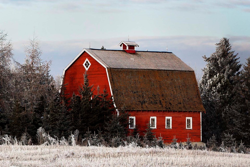 red barn and hoar frost pano CC 0004 CC