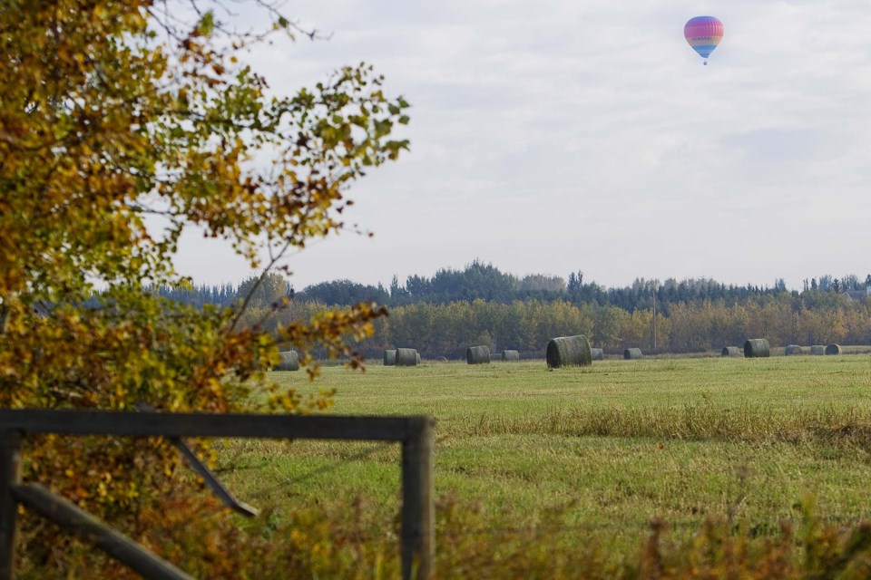 balloon ride-CC-9711 CC