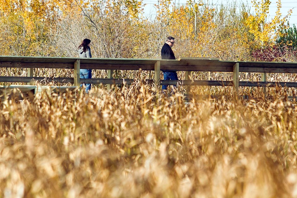 Fall Walk-8537-AB CC
