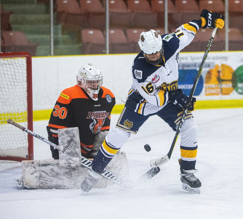 WEB SPORTS 2112 sabres CC 4581