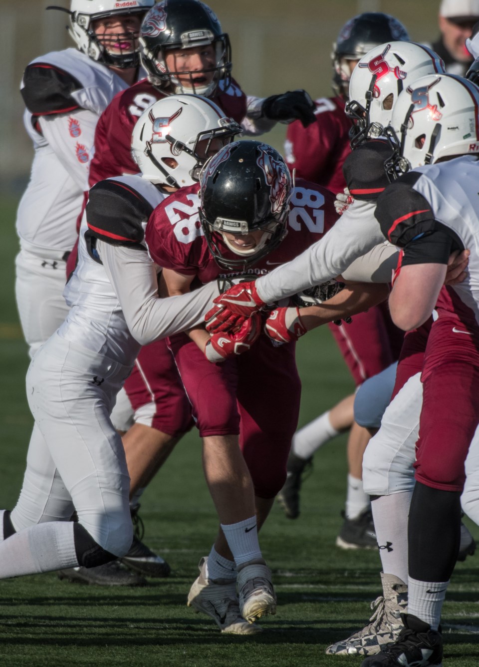WEB SPORTS 2310 junior bulldogs-3