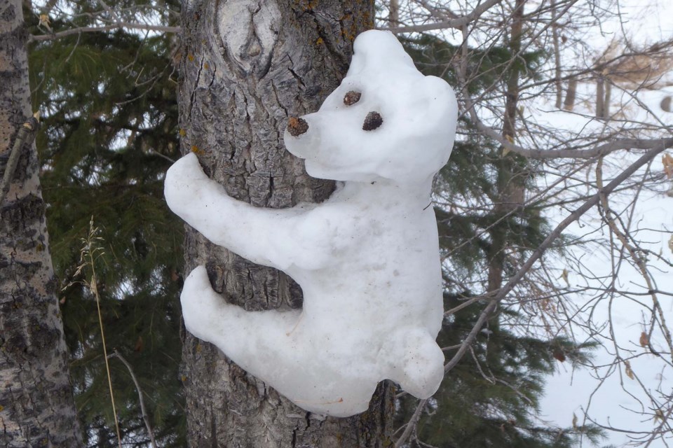 This little bear cub was one of many kinds of unique "wildlife" spotted along Red Willow Trail by Woodlands, and along Sturgeon Road, on Monday, according to Christine Zihrul. CHRISTINE ZIHRUL/Photo