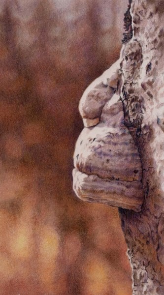 Forest Enigma by Susan Casault is one of the paintings on display for The Woods are Lovely