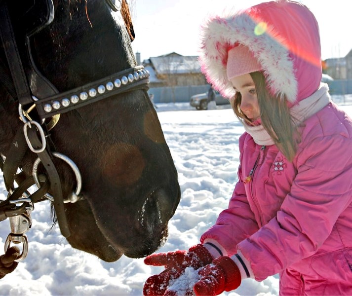 Family Day activities abound in St. Albert next Monday