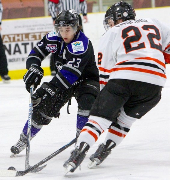 St. Albert Steel captain Mike Giese pressures Lloydminster Bobcats&#8217; defenceman Cory Hodgins for the puck in the third period of Monday&#8217;s AJHL game at Performance