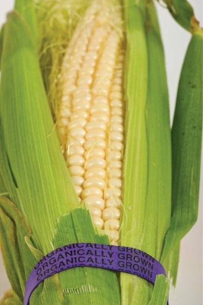 Rising commodity prices mean consumers will pay more for produce like corn.