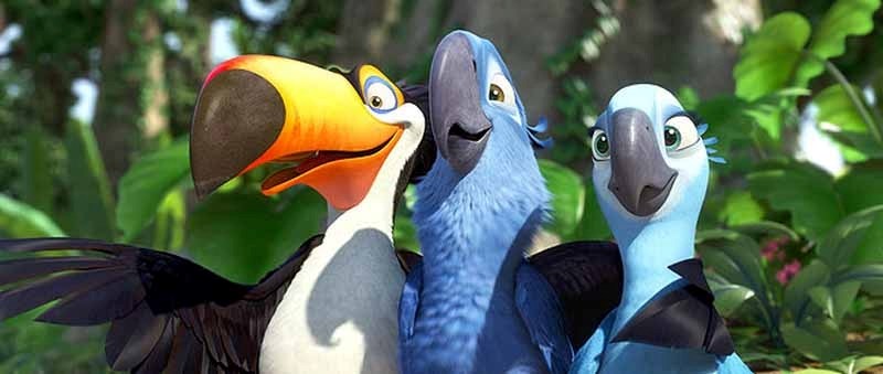 Blu is a domesticated macaw who never learned to fly