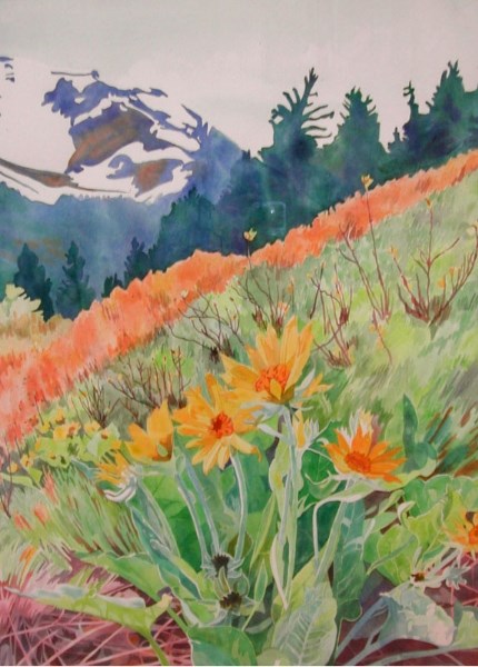 Balsamorhiza Sagttata in Waterton by artist Rayma Peterson is among the works showing at The Teachers&#8217; Show exhibit at Art Beat.