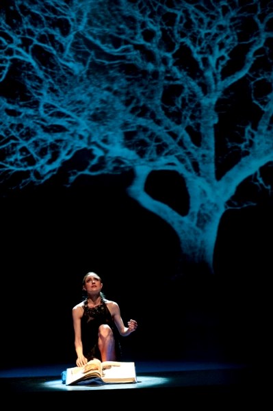 The Alberta Ballet has partnered with Canadian musician Sarah McLachlan for Fumbling Towards Ecstasy