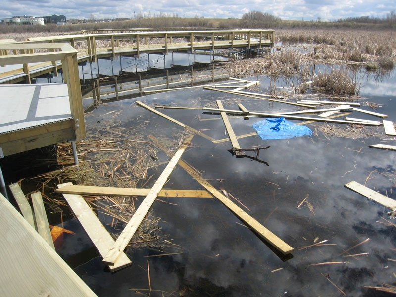 Vandals threw debris and construction materials into this wetland near the Riel Industrial Park on May 7 after breaking into the construction site for the John E. Poole