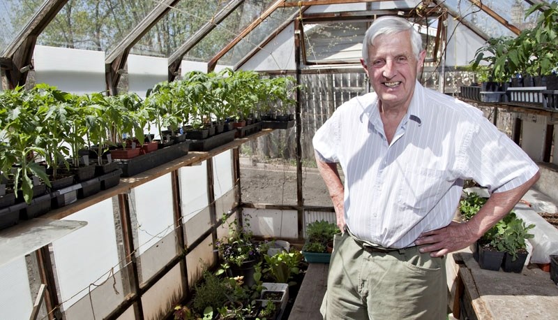 Derrick Harrison who is the president of the St. Albert &amp;amp; District Garden Club has almost 200 tomato plants growing on his property which he planted in mid-March. The 