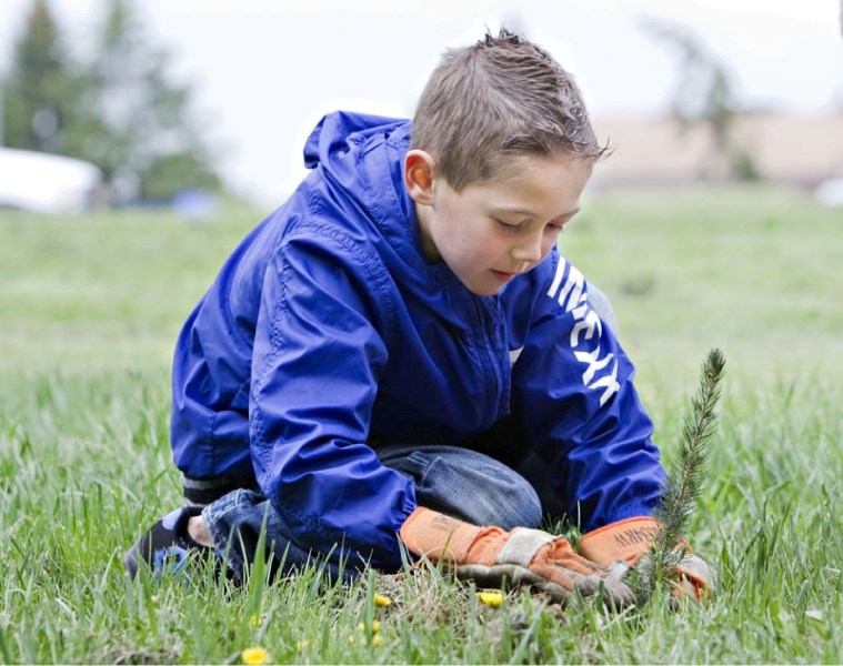 J.J. Nearing Grade 1 student Ethan Webber plants a tree during Arbour Day activities hosted by the city at Willoughby Park on Wednesday.