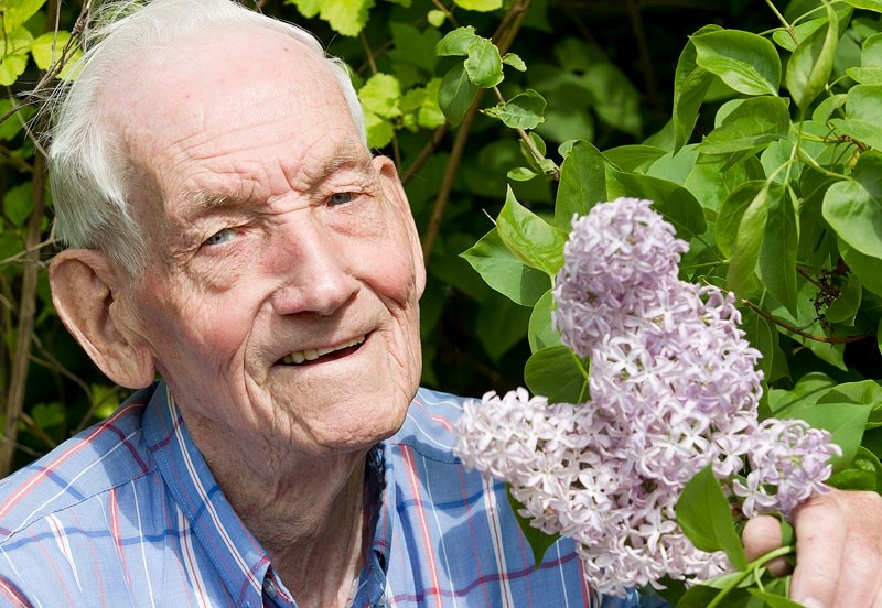 Retired city horticulturist John Beedle explains that lilacs are not native to North America