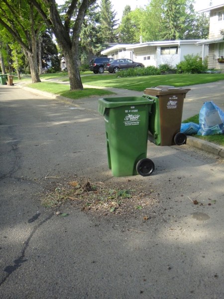 Barb Ferguson of Grandin snapped this photo of a pile of organic waste left in the middle of the street