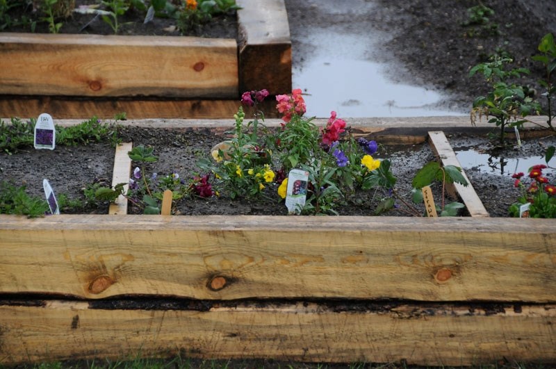 Older and younger students at Sturgeon Heights School worked to together to build a vegetable garden