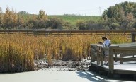 Laurie Hunt and son Logan Farr check out the displays on the John E. Poole Interpretive Wetland site. Construction of the walking trail officially wrapped up this weekend.