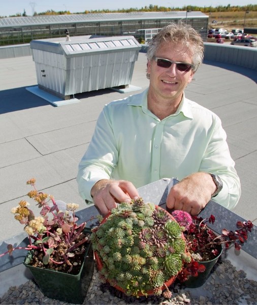 Jim Hole shows examples of plants that could be grown in the four rooftop gardens now installed at the Enjoy Centre as part of a scientific experiment with the Northern