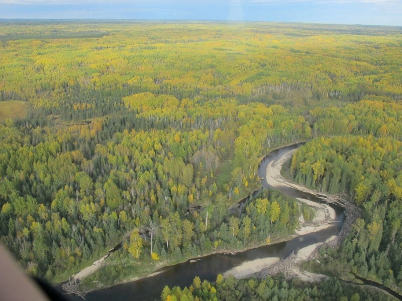 Local teachers who participated in a recent two-day workshop on resource careers got a bird&#8217;s eye view of the vastness of Northern Alberta&#8217;s boreal forest. This
