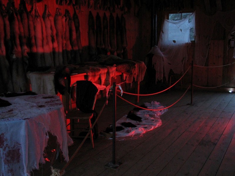 This outdoor festival is scattered throughout three main areas of Fort Edmonton Park. it runs from Oct. 28 to Oct. 29.