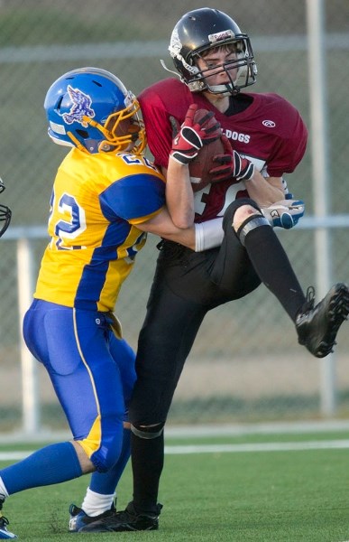Shawn Hebner of the Bellerose Dawgs picks off a pass in second half of Tuesday&#8217;s junior exhibition against the Bev Facey Falcons in St. Albert. The Dawgs won 14-0. The