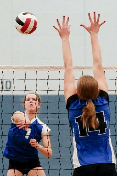 Amber Easthope of the St. Albert Skyhawks slaps the ball around against the Ardrossan Bisons in Wednesday&#8217;s metro Edmonton premier conference playoff at the SkyDome.