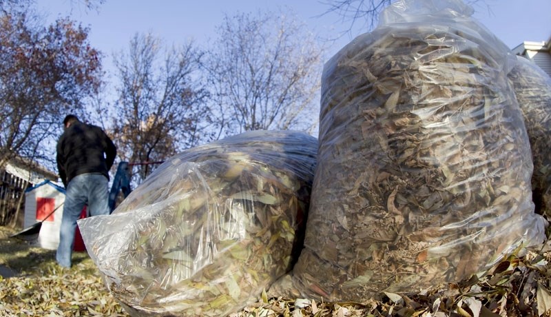 St. Albert residents who have more leaves than their compost bins can handle have the option of using clear plastic bags