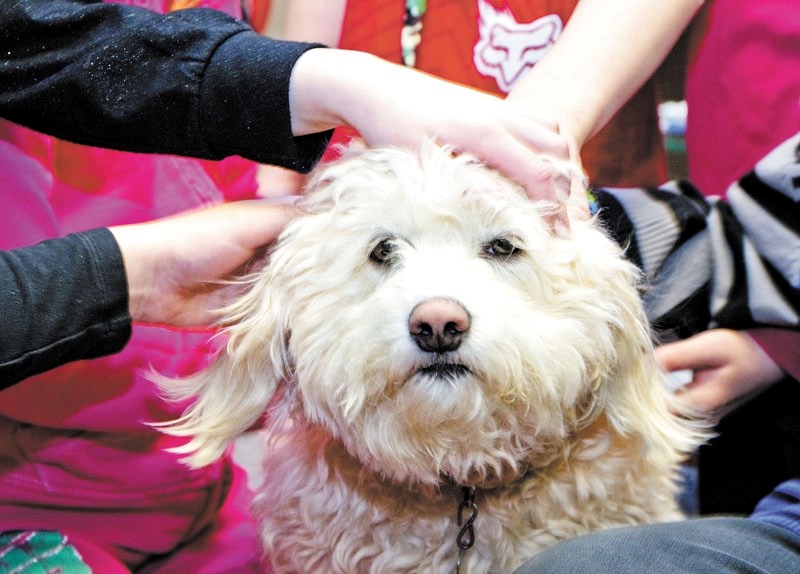 The Edmonton Humane Society has changed its stance and now says giving pets