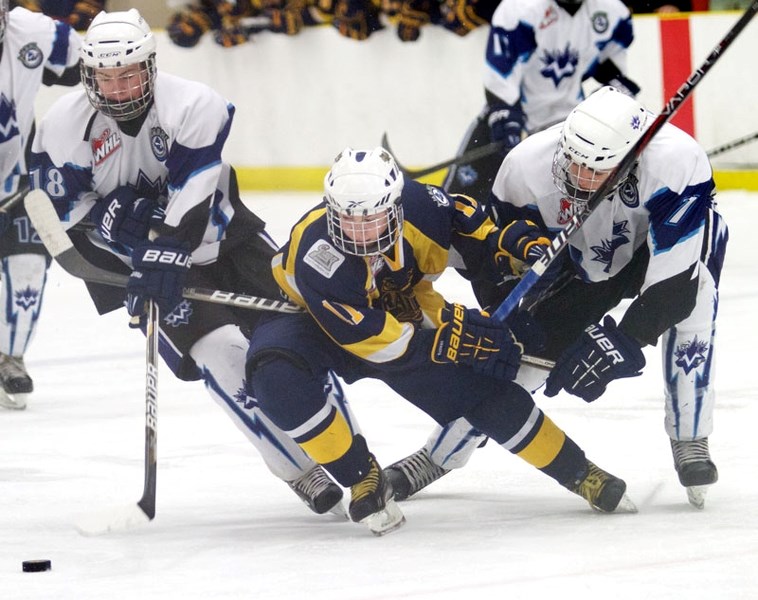 HEART AND HUSTLE &#8211; A determined Jake Warawa of the St. Albert Sabres battles for the puck against Chris Hrdlicka (left) and Connor Rokosh of MLAC Scott Pump in