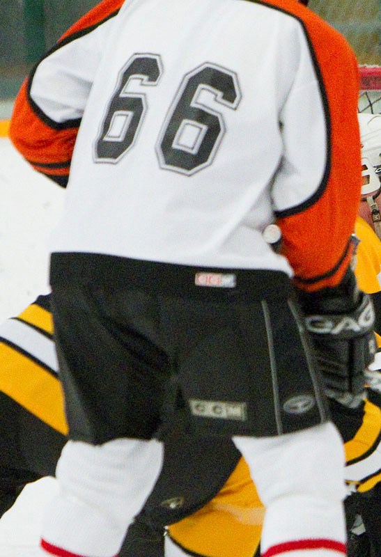 ON-ICE ATTACK – A recreational hockey player has been banned from organized play after pleading guilty to assaulting a referee.