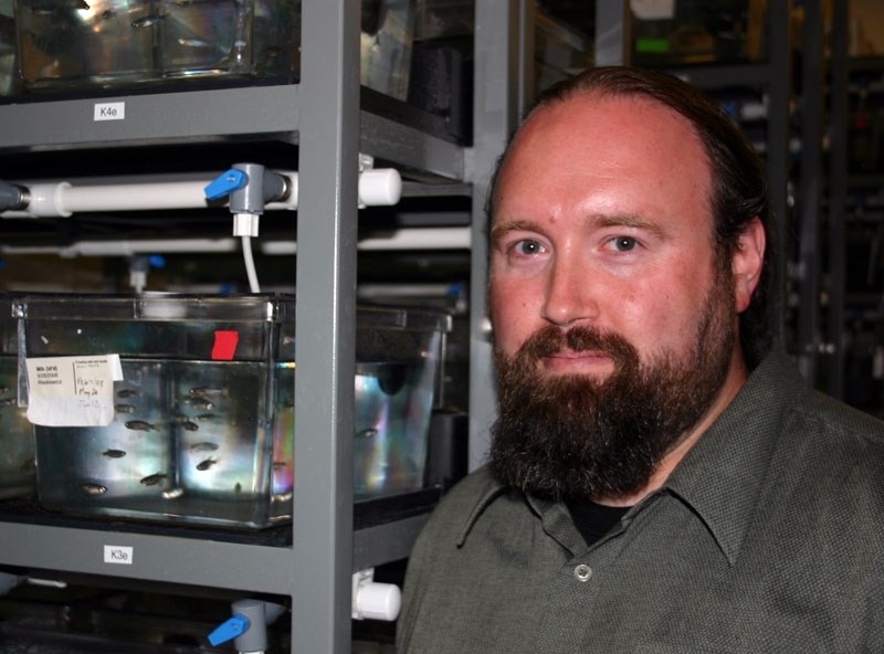 LOOKING FORWARD – University of Alberta researcher Ted Allison is hoping that stem cells of zebrafish will one day enable humans to restore lost sight.