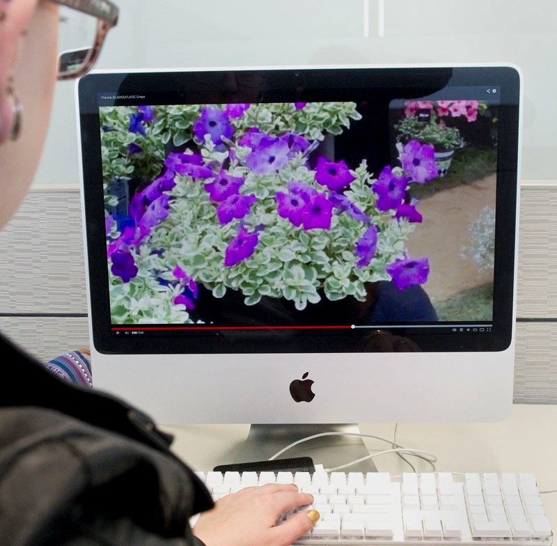 THINKING SPRING – Computers provide a wealth of information on garden planning and new types of flowers. The colours alone are worth the time spent exploring online.