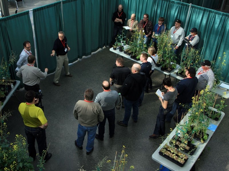 BACK TO CLASS – Local farmers attend a session on canola pests and disease at last year&#8217;s CanoLAB event at the Enjoy Centre. The event returns to St. Albert this week.