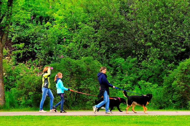 WE&#8217;RE NO. 1 – A national magazine ranks St. Albert as the best small city in the country. St. Albert trailed only Calgary as the best city overall in Canada.