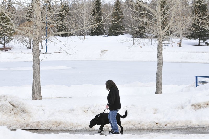 ON DECK – A controversial animal control bylaw returns to council on Tuesday for debate and a vote. The issue is expected to generate strong feelings on both sides of the