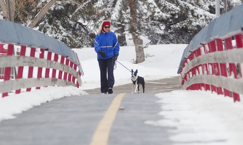 NEW RULES AFOOT – A new animal bylaw is one step away from being final. It would require that dogs be leashed except in specified off-leash areas.