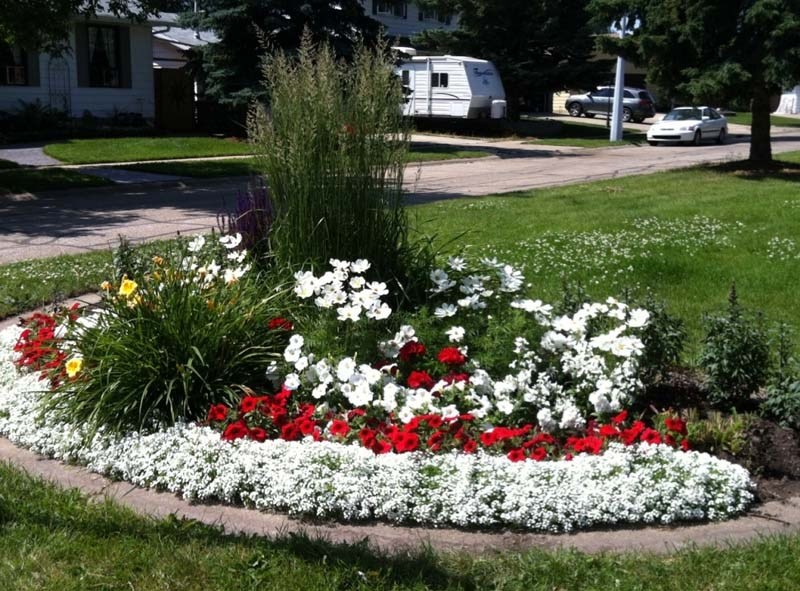 BED IN BLOOM – This flowerbed on Afton Crescent is one of 22 maintained by the Partners in Parks volunteers.