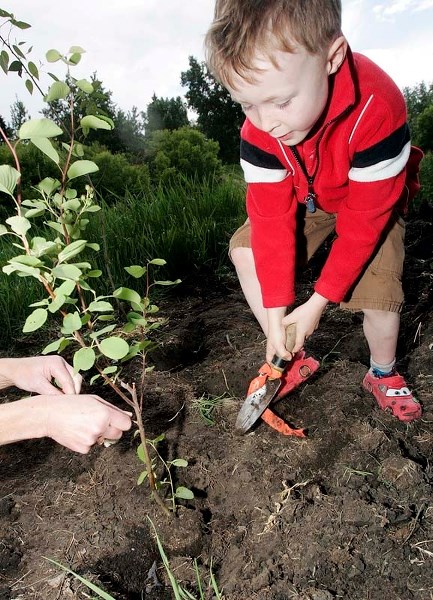 LET&#8217;S PLANT – The 16th annual Clean and Green Riverfest runs May 12. The event will feature free food