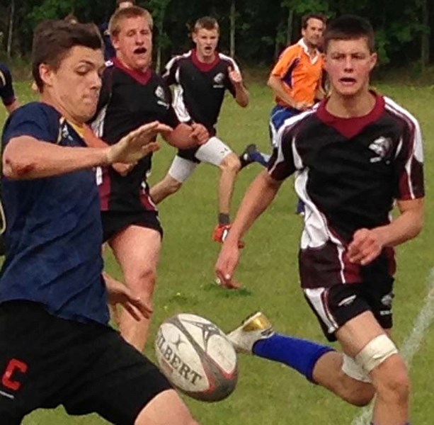 LOOSE BALL – Bellerose Bulldog Logan Grazy