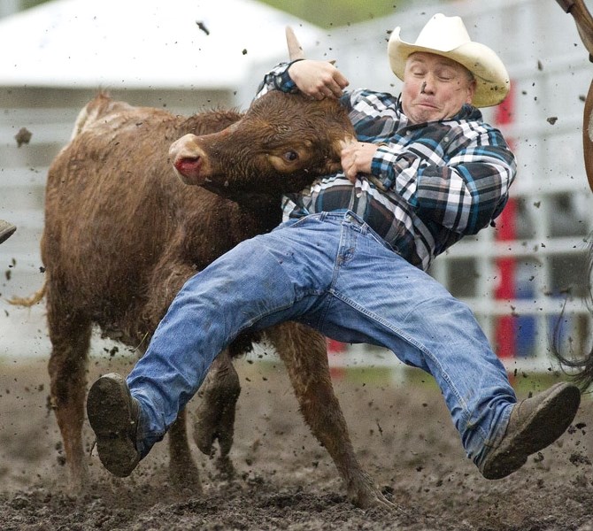 MUD WRESTLIN&#8217; – Dan Berry of Stony Plain competes in steer wrestling during muddy conditions on Friday at the Rainmaker Rodeo.