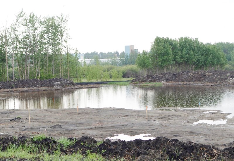 Spring floods have swamped a stormwater pond under construction on the banks of the Sturgeon River and local environmentalists fear that the river&#8217;s fish may have been