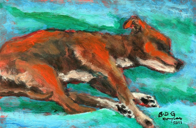 DO NOT DISTURB – Let Sleeping Dogs Lie is one of Father Douglas&#8217; most recent creations.